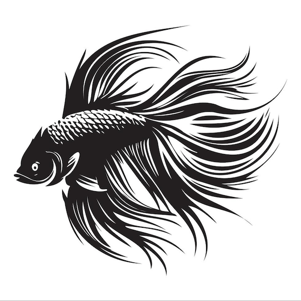 betta-fish